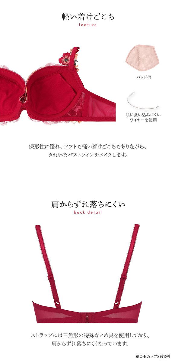 トリンプ Triumph TR0082 プレミアムデザイン レッドレーベル ブラジャー BCDE 単品