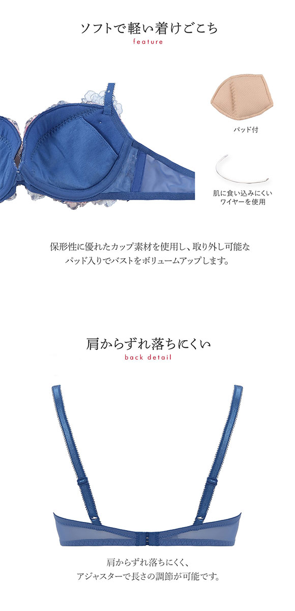 トリンプ Triumph TR0088 プレミアムデザイン レッドレーベル ブラジャー DE 単品