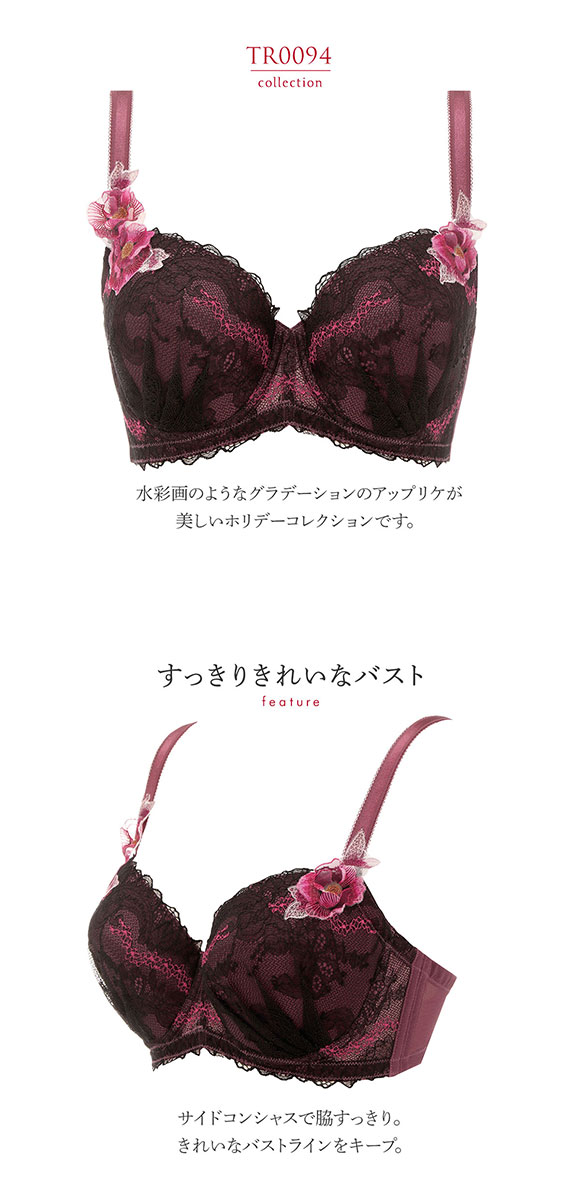 トリンプ Triumph TR0094 プレミアムデザイン レッドレーベル ブラジャー 大きいサイズ GH 単品