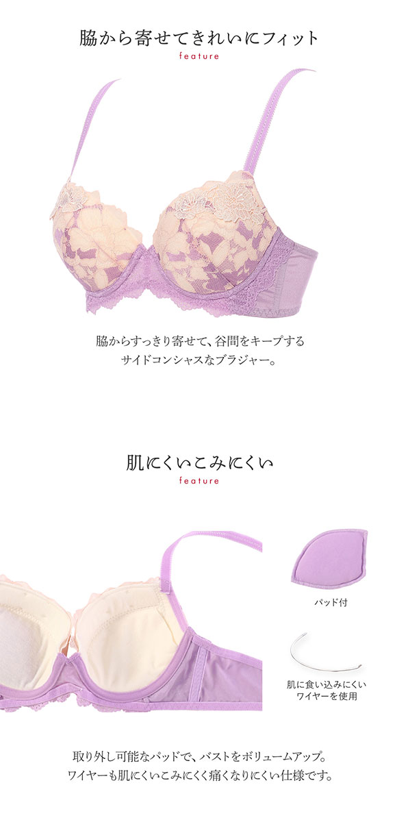 トリンプ Triumph TR0095 プレミアム レッドレーベル ブラジャー BC 単品