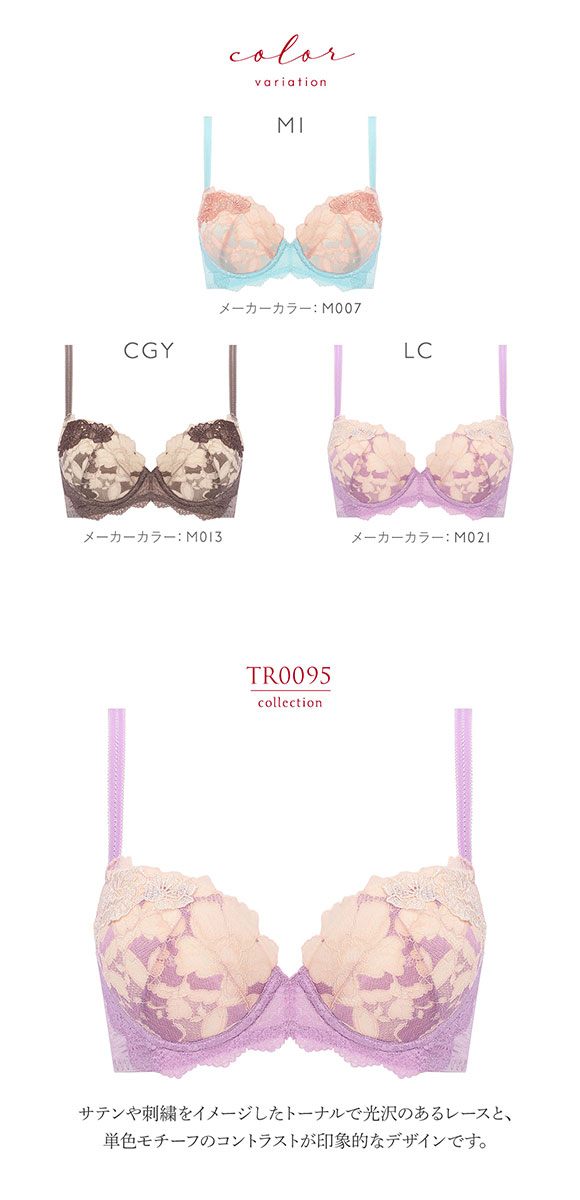 トリンプ Triumph TR0095 プレミアム レッドレーベル ブラジャー DEF 単品