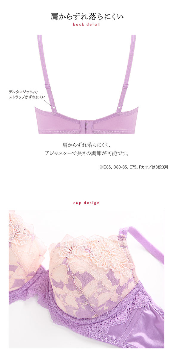 トリンプ Triumph TR0095 プレミアム レッドレーベル ブラジャー DEF 単品