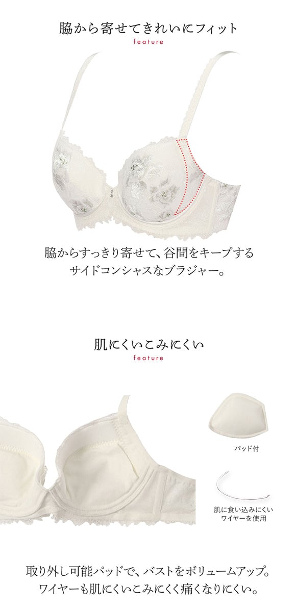 トリンプ Triumph TR0100 プレミアム レッドレーベル ブラジャー BC 単品