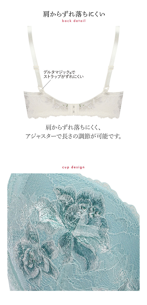 トリンプ Triumph TR0100 プレミアム レッドレーベル ブラジャー BC 単品