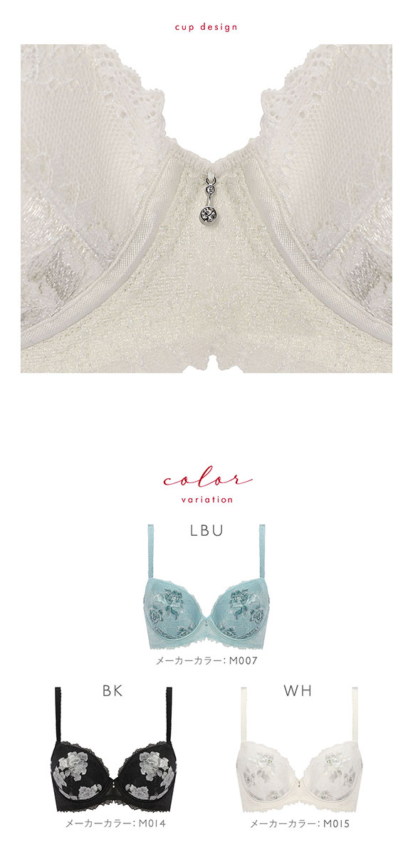 トリンプ Triumph TR0100 プレミアム レッドレーベル ブラジャー BC 単品