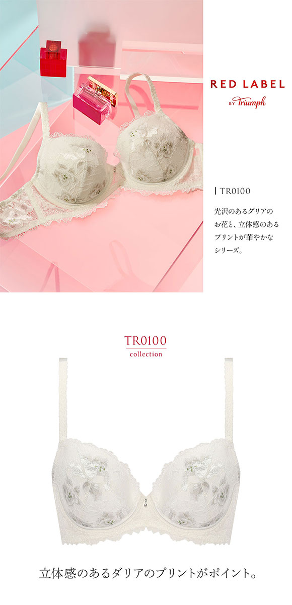 トリンプ Triumph TR0100 プレミアム レッドレーベル ブラジャー DE 単品