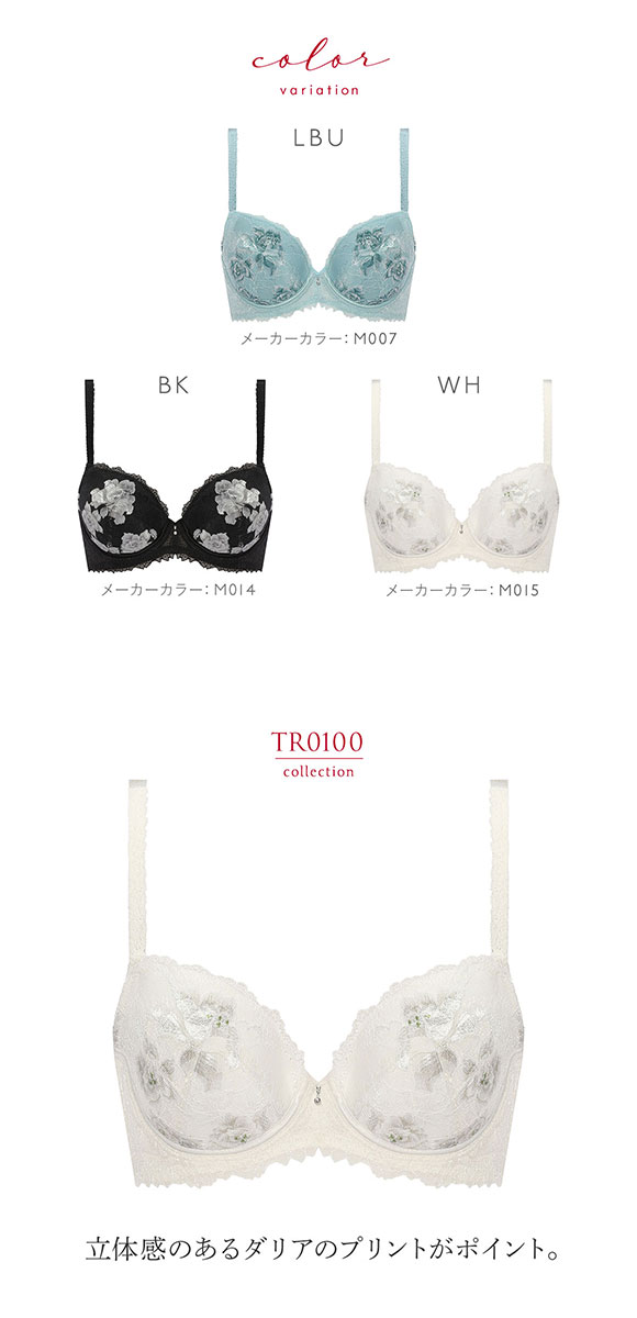 トリンプ Triumph TR0100 プレミアム レッドレーベル ブラジャー DE 単品