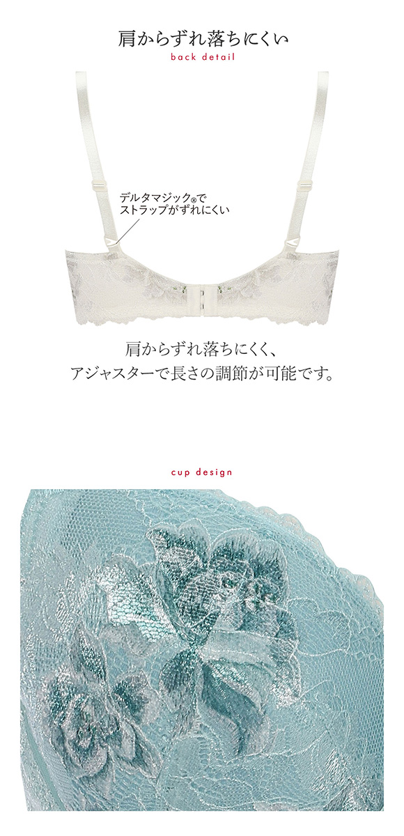 トリンプ Triumph TR0100 プレミアム レッドレーベル ブラジャー DE 単品