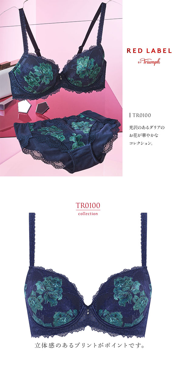 トリンプ Triumph TR0100 レッドレーベル バイ トリンプ ブラジャー DE 単品
