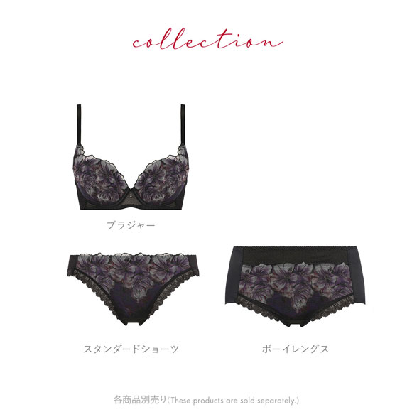 トリンプ Triumph TR586 天使のブラ 魔法のハリ感 ブラジャー BC 単品