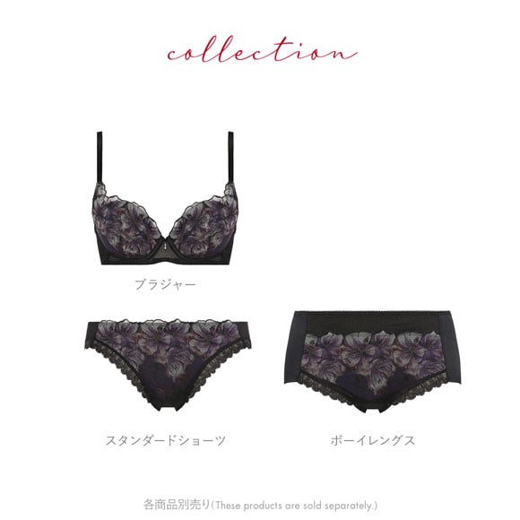 トリンプ Triumph TR586 天使のブラ 魔法のハリ感 ブラジャー BC 単品