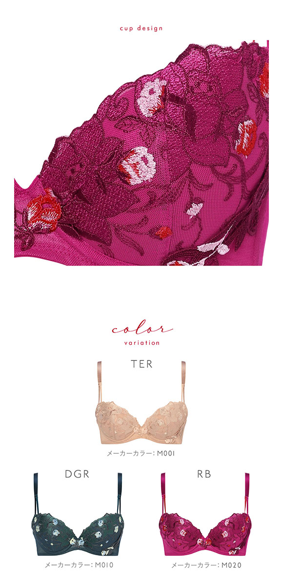 トリンプ Triumph TR0104 レッドレーベル バイ トリンプ ブラジャー DE 単品