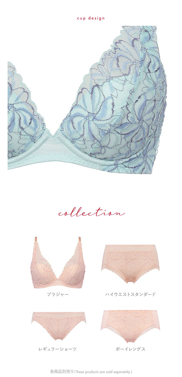 トリンプ Triumph TR582 天使のブラ スリムライン ブラジャー DEF 単品