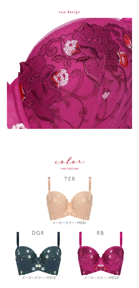 トリンプ Triumph TR0104 レッドレーベル バイ トリンプ ブラジャー F 単品