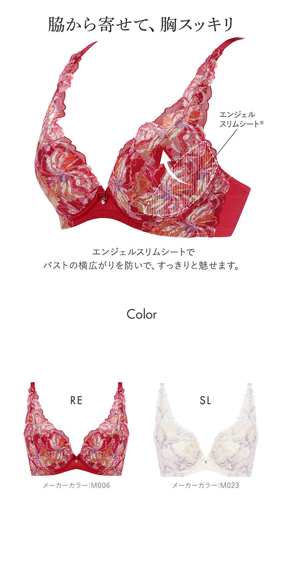 トリンプ Triumph TR582-2 天使のブラ スリムライン ブラジャー BC 単品