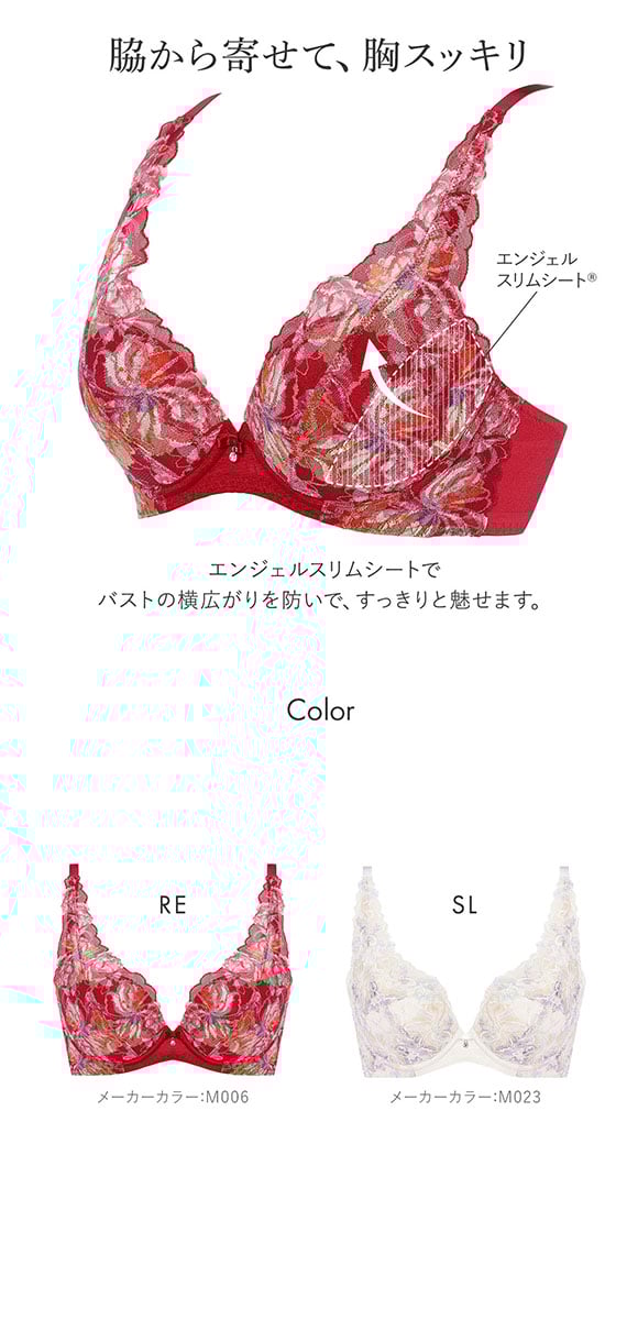 トリンプ Triumph TR582-2 天使のブラ スリムライン ブラジャー BC 単品