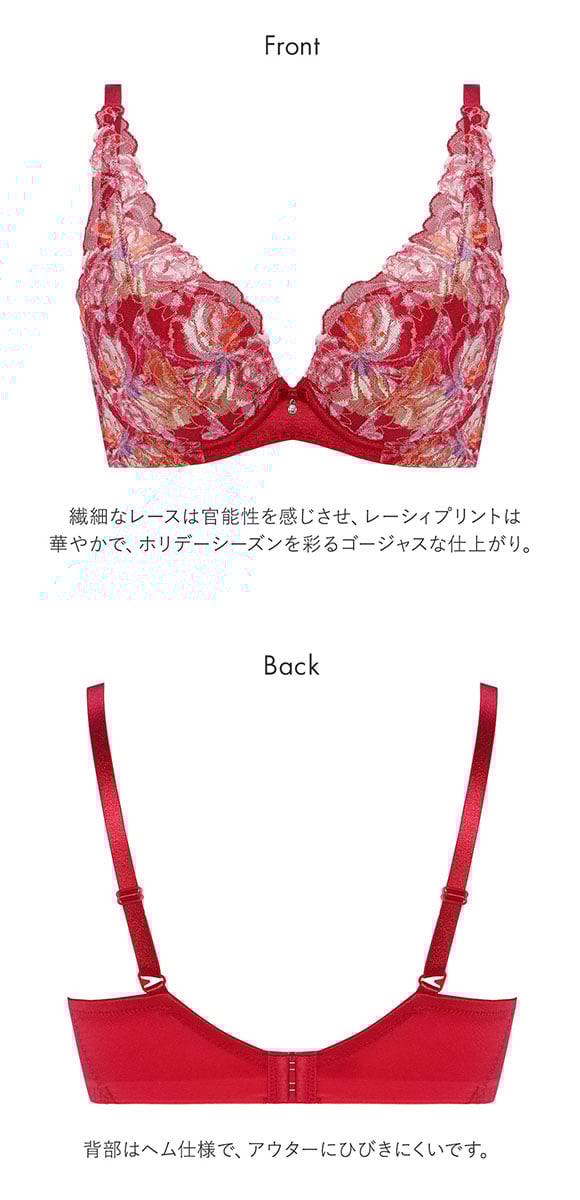 トリンプ Triumph TR582-2 天使のブラ スリムライン ブラジャー BC 単品