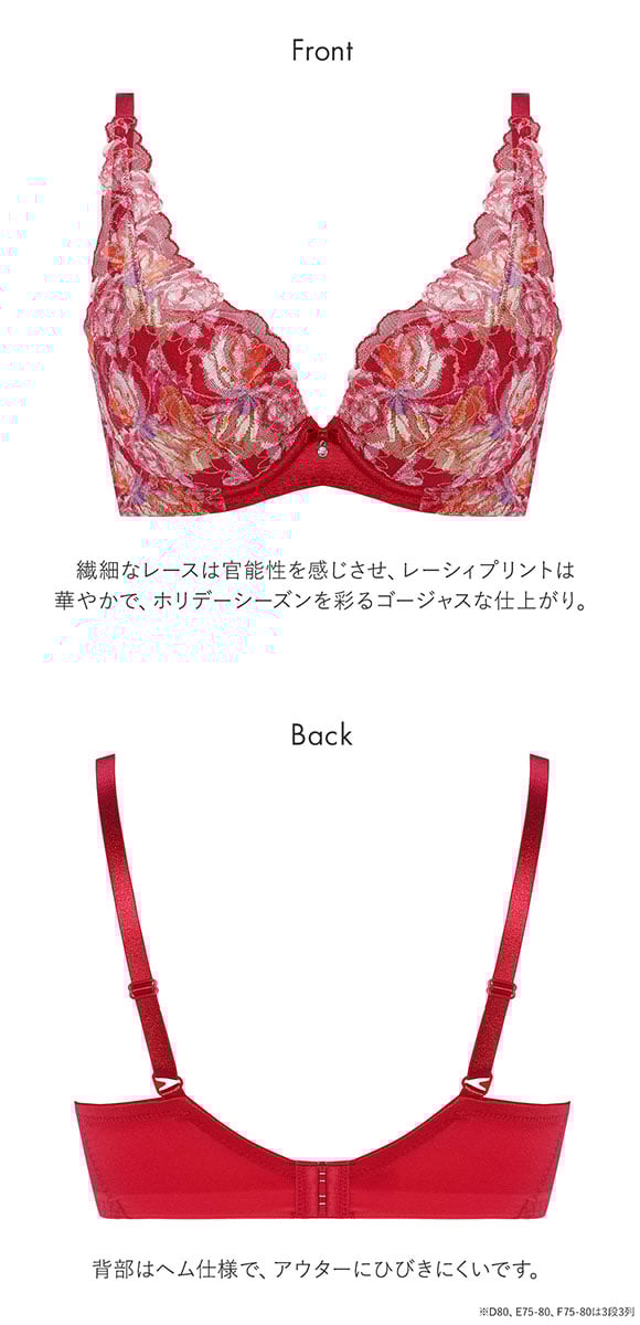 トリンプ Triumph TR582-2 天使のブラ スリムライン ブラジャー DEF 単品