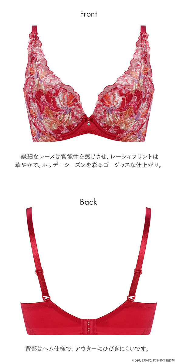 トリンプ Triumph TR582-2 天使のブラ スリムライン ブラジャー DEF 単品