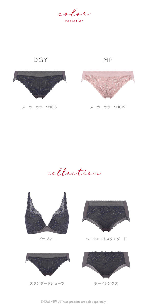 トリンプ Triumph TR582 天使のブラ スリムライン ショーツ スタンダード LL 単品