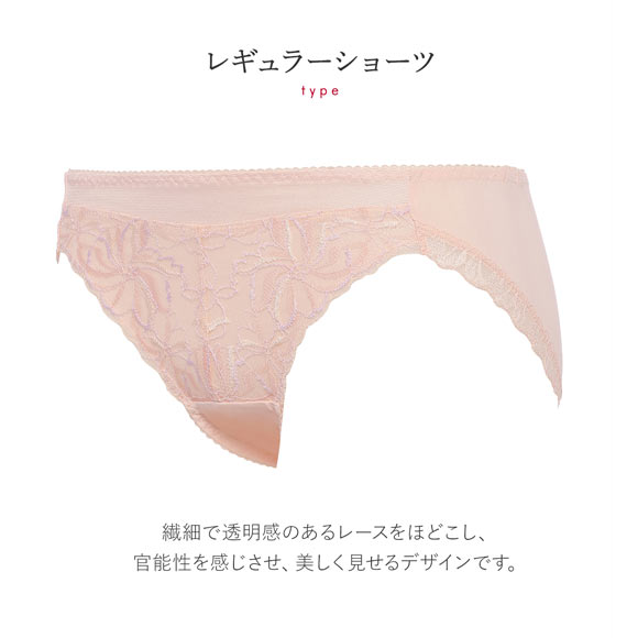 トリンプ Triumph TR582 天使のブラ スリムライン ショーツ スタンダード ML 単品