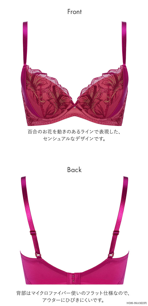 トリンプ Triumph TR584 天使のブラ スリムライン ブラジャー BC