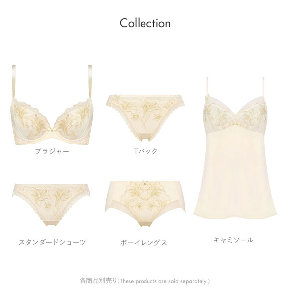 トリンプ Triumph TR584 天使のブラ スリムライン ブラジャー DEF 単品