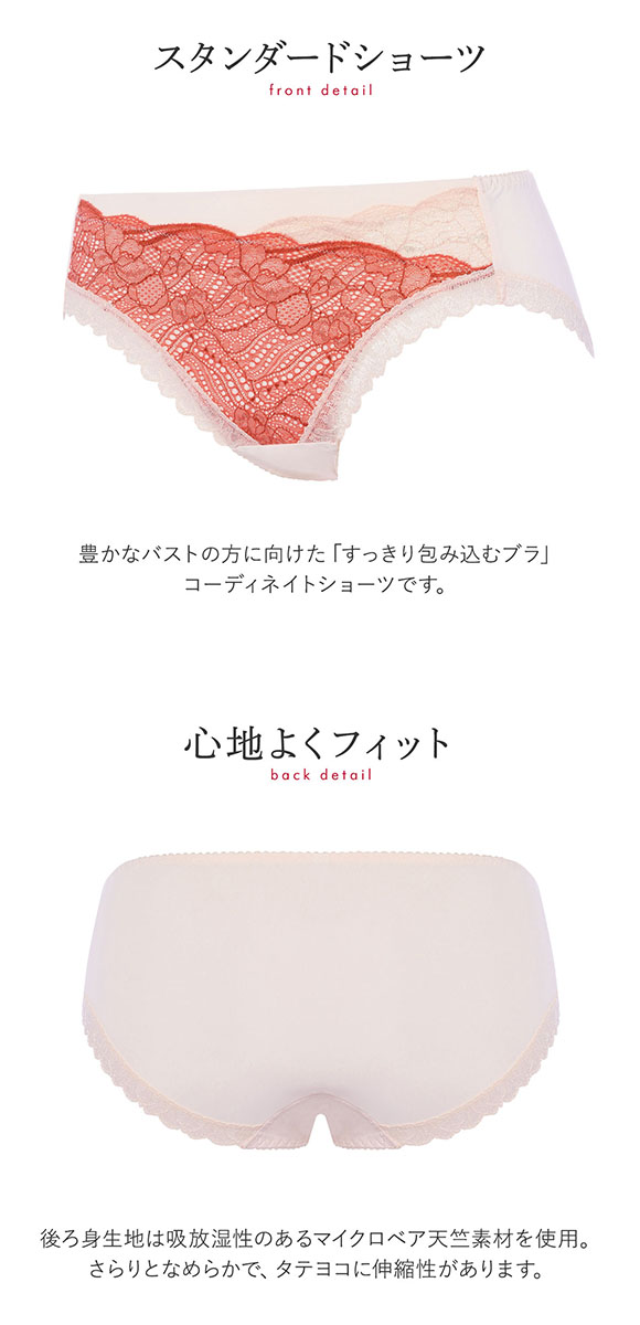 トリンプ Triumph すっきり包み込むブラ TR585 Hikini レギュラー ショーツ スタンダード LL 単品 ノーマル ひびきにくい