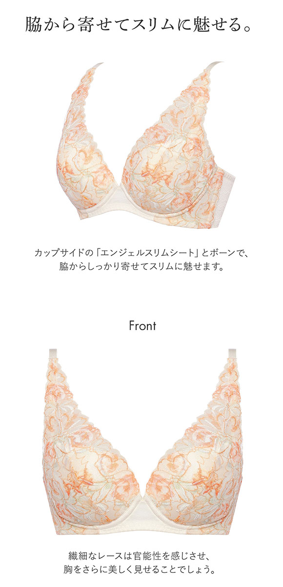 トリンプ Triumph TR582-3 天使のブラ スリムライン ブラジャー DE