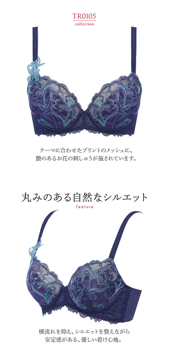 トリンプ Triumph TR0105 レッドレーベル バイ トリンプ ブラジャー DEF 単品