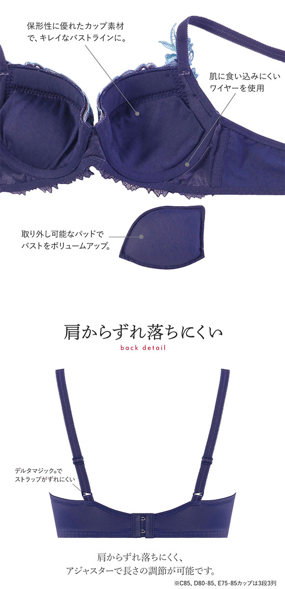 トリンプ Triumph TR0105 レッドレーベル バイ トリンプ ブラジャー DEF 単品