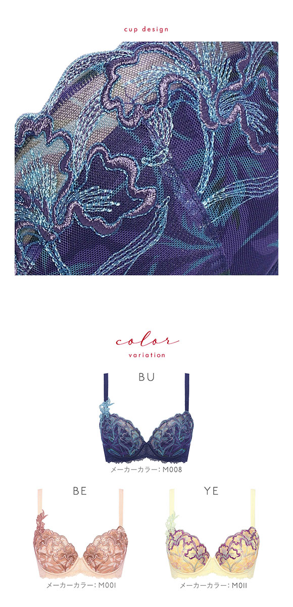 トリンプ Triumph TR0105 レッドレーベル バイ トリンプ ブラジャー DEF 単品