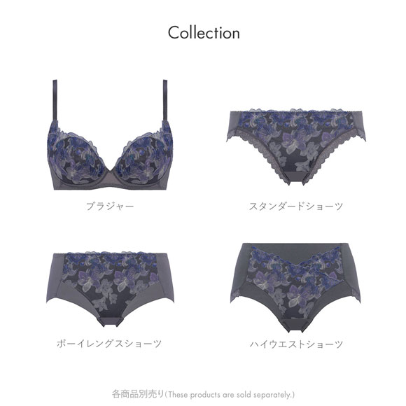 トリンプ Triumph TR596 天使のブラ 魔法のハリ感 ショーツ ボーイレングス ML 単品