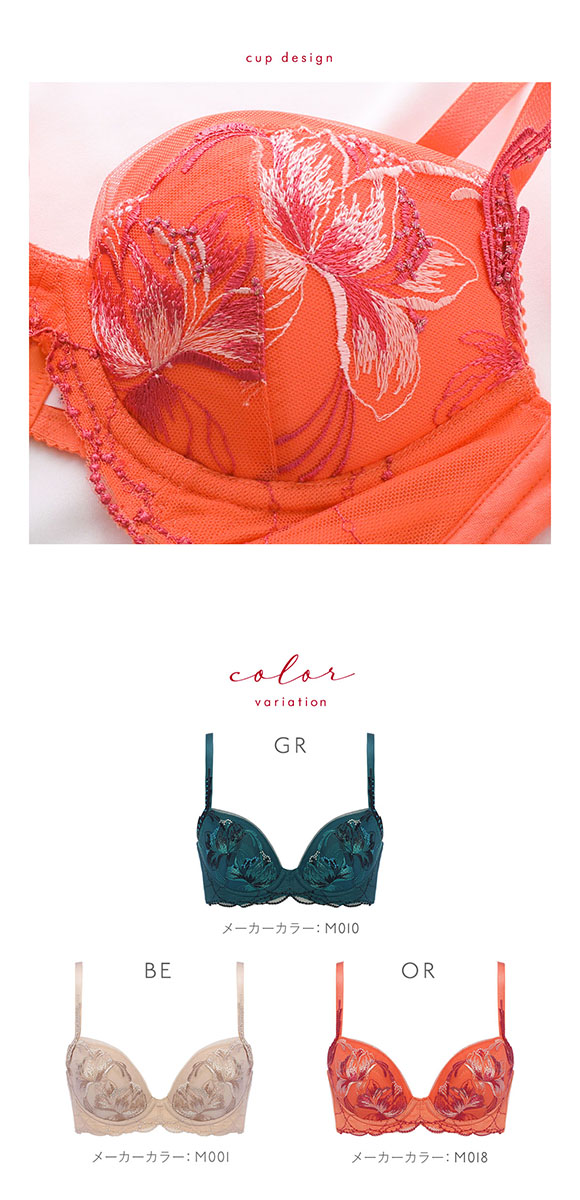 トリンプ Triumph TR0107 レッドレーベル バイ トリンプ ヨセアゲハ ブラジャー BC 単品