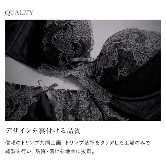 ショーツ スタンダード 魔法のデコルテブラジャー ペアショーツ