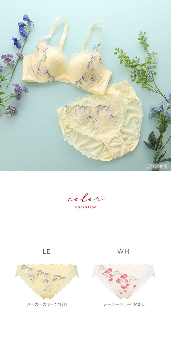 トリンプ TR0118 レッドレーベル バイ トリンプ 天使のブラ スリムライン レギュラーショーツ スタンダード LL Triumph