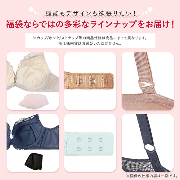 ブラジャー セット 大きいサイズ 下着 レディース セット 福袋 アモ