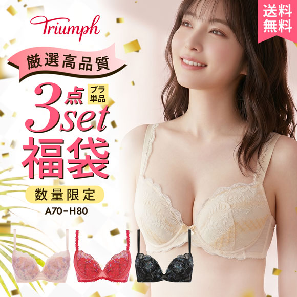 ブラジャー セット 大きいサイズ 下着 レディース セット 福袋
