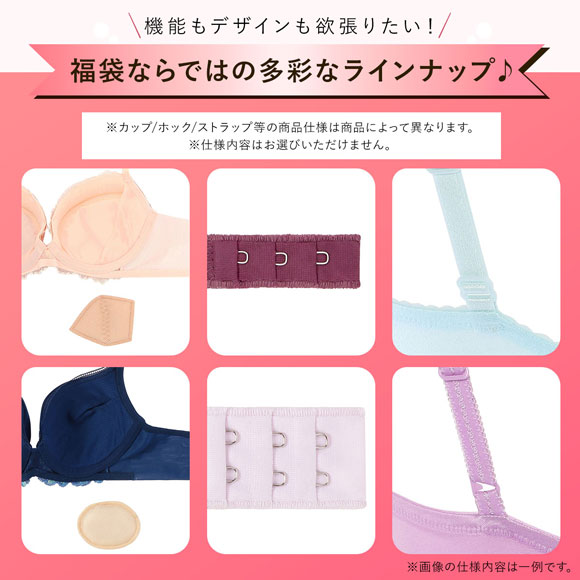 ブラジャー セット 大きいサイズ 下着 レディース セット 福袋 トリンプ ブラジャー セット グラマーサイズ 3点セット Triumph 白鳩