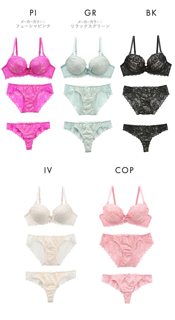 アブソール Absorle 総レース ブラジャー ショーツ Tバック 3点 セット 大きいサイズ