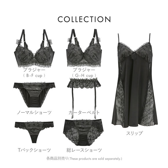 ドゥペルル フルールドゥ ノーマルショーツ スタンダード LL ビキニ 大きいサイズ グラマー レギュラー DuePerle