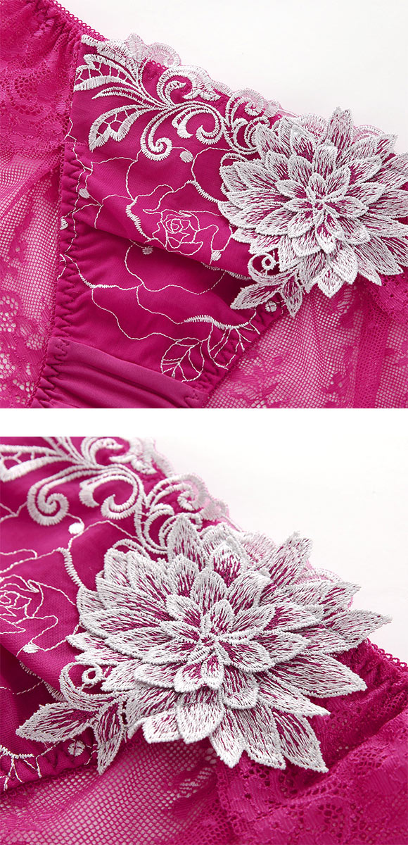 ドゥペルル DuePerle ベラ 総レースショーツ フルバック ノーマル M L バックレースショーツ ひびきにくい 単品