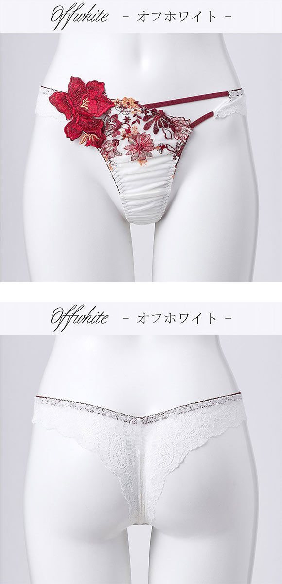 ドゥペルル チェリッシュ Tバックショーツ ML タンガ ソング 総レース バックレース ひびきにくい DuePerle