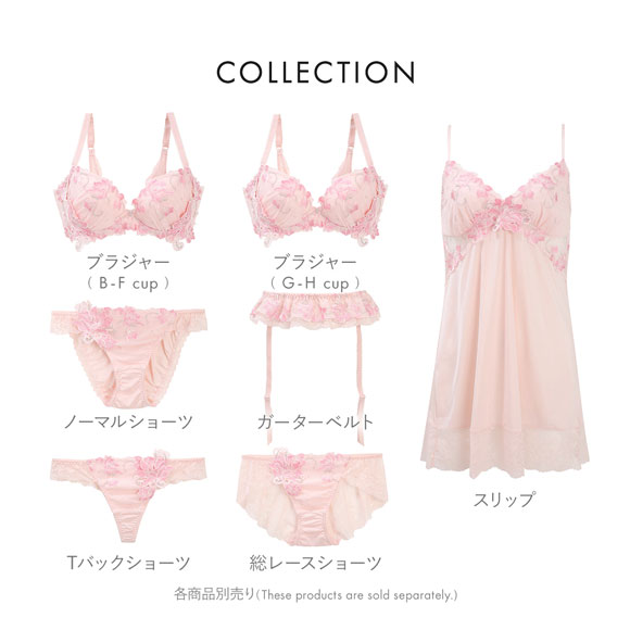 ドゥペルル リリーフロレッタ Tバックショーツ ML タンガ ソング バックレース なめらか フィット ひびきにくい 総レース DuePerle