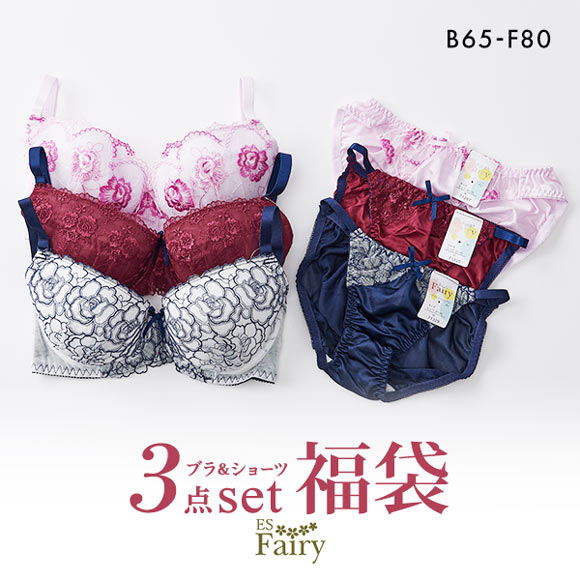イーエスフェアリー ES Fairy 福袋 ブラジャー ショーツ 3点セット おまかせ ブラセット