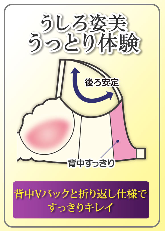 うしろ姿美 うっとり体験 フラワー刺繍 ブラジャー ショーツ セット ABCD70-85 ブラセット 脇高 脇肉 着やせ 背中すっきり