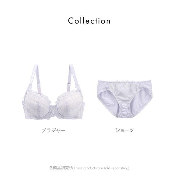 ビューティーアシスト ふわもち触感やさしくフィットブラ ペアショーツ ノーマルショーツ M L LL Beauty Asist なめらか