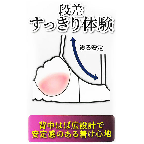 段差すっきり体験 エレガンスピオニー グラマーブラセット DEF70-90