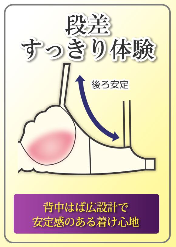 段差すっきり体験 フェミニンフラワー グラマーブラセット DEF75-90 アンダー大きいサイズ ブラジャー ショーツ セット