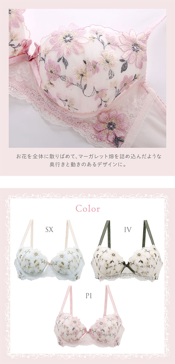 ブラヘア アルマータ P 特白個体 ブラヘア アルマータ P 特白個体 ブラヘア アルマータ N特白個体